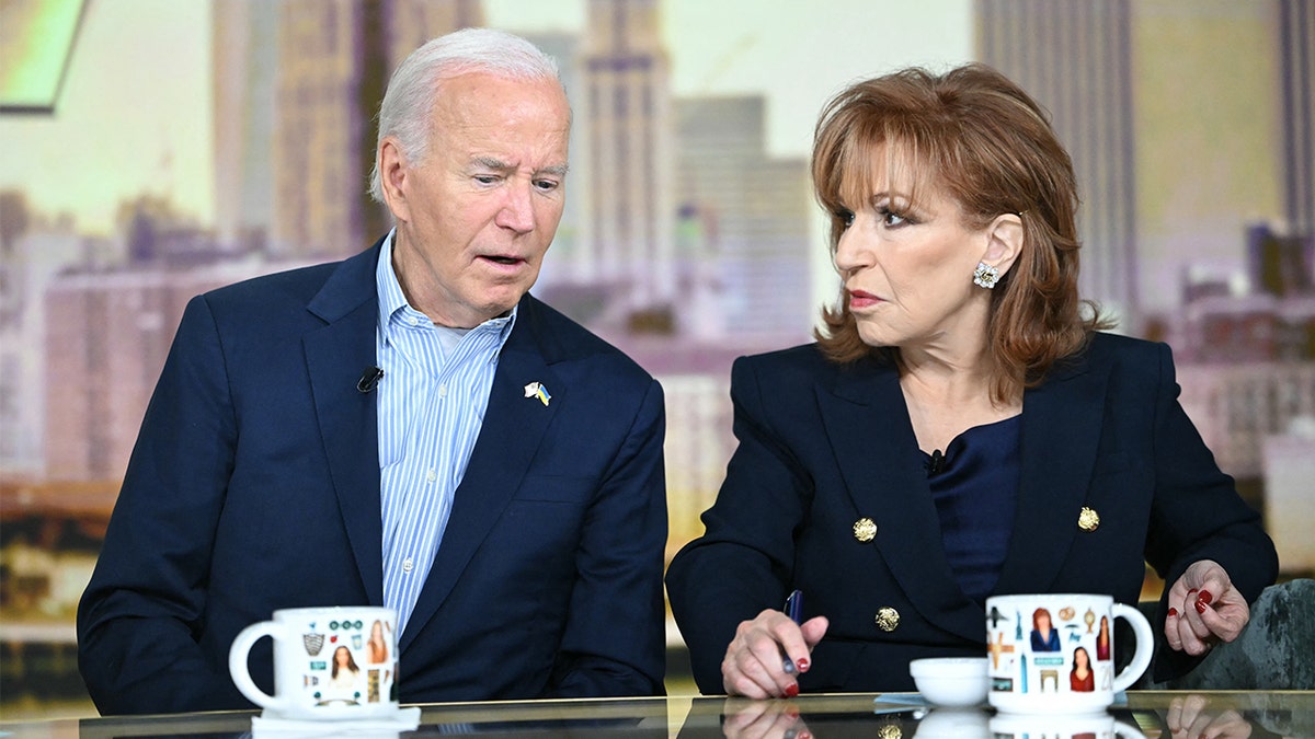Joe Biden, Jill Biden, The View, Whoopi Goldberg, Kamala Harris, Donald Trump, 2024 Seçimleri, röportaj, yaş, mental sağlık, hafıza sorunları, kitaplar, medya, siyaset, Demokratlar, ABC, Ana Navarro, Sunny Hostin, anketler, popülarite, White House Correspondents Dinner, Alex Thompson, medya eleştirisi, örtbas, başkanlık, başkanlık dönemi, miras, başarılar, pişmanlıklar
