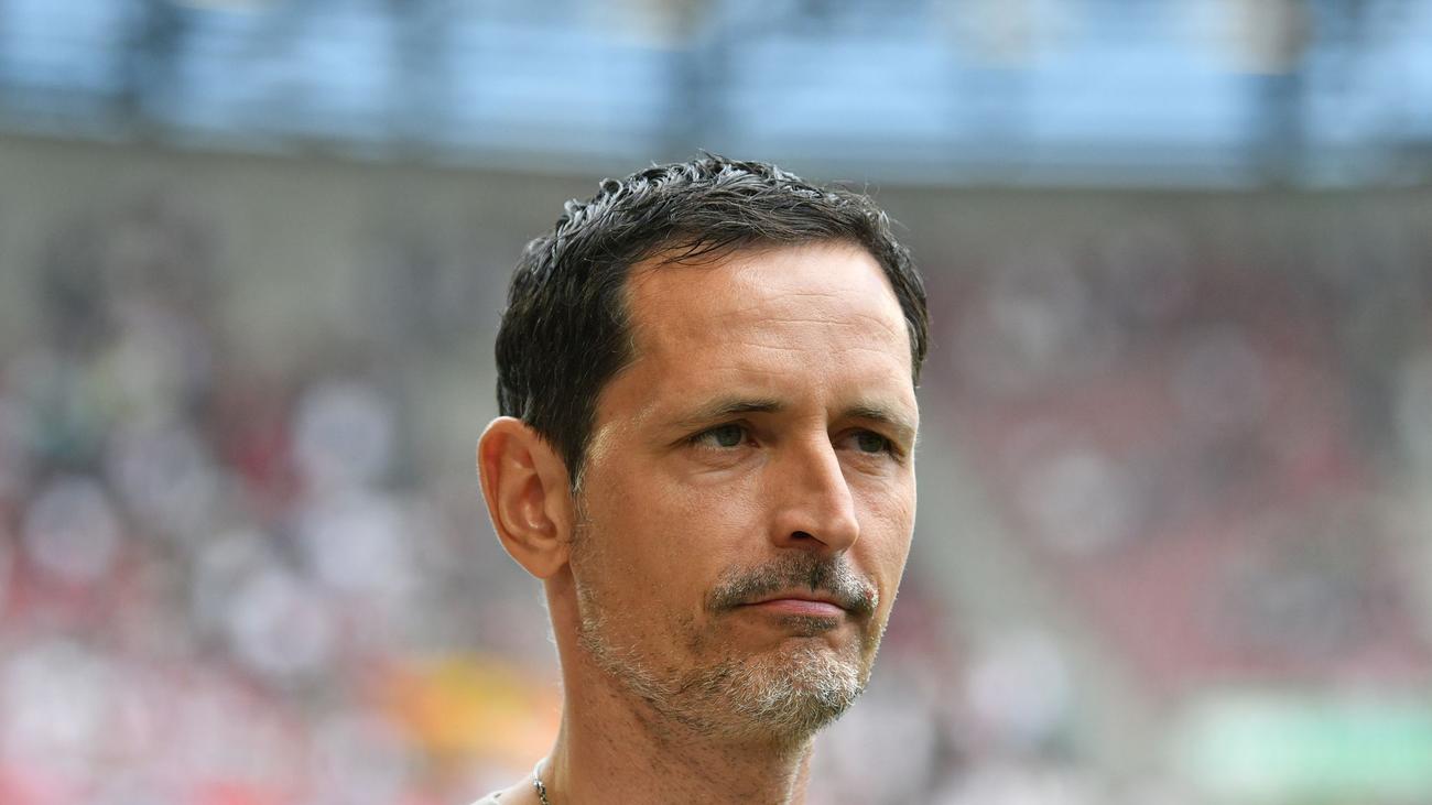 Eintracht Frankfurt, Dino Toppmöller, Avrupa Ligi, köpek, veteriner, Rasmus Kristensen, Mainz 05, Bundesliga, futbol, sakatlık, ilk 11
