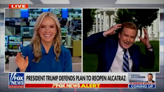 Peter Doocy, Fox News, Beyaz Saray, Kuş saldırısı, Haber muhabiri, Dana Perino, Alcatraz, Donald Trump, Komik olay, Kuş, Güvenlik önlemleri, Meta anahtar kelimeler, Türkiye, Haber
