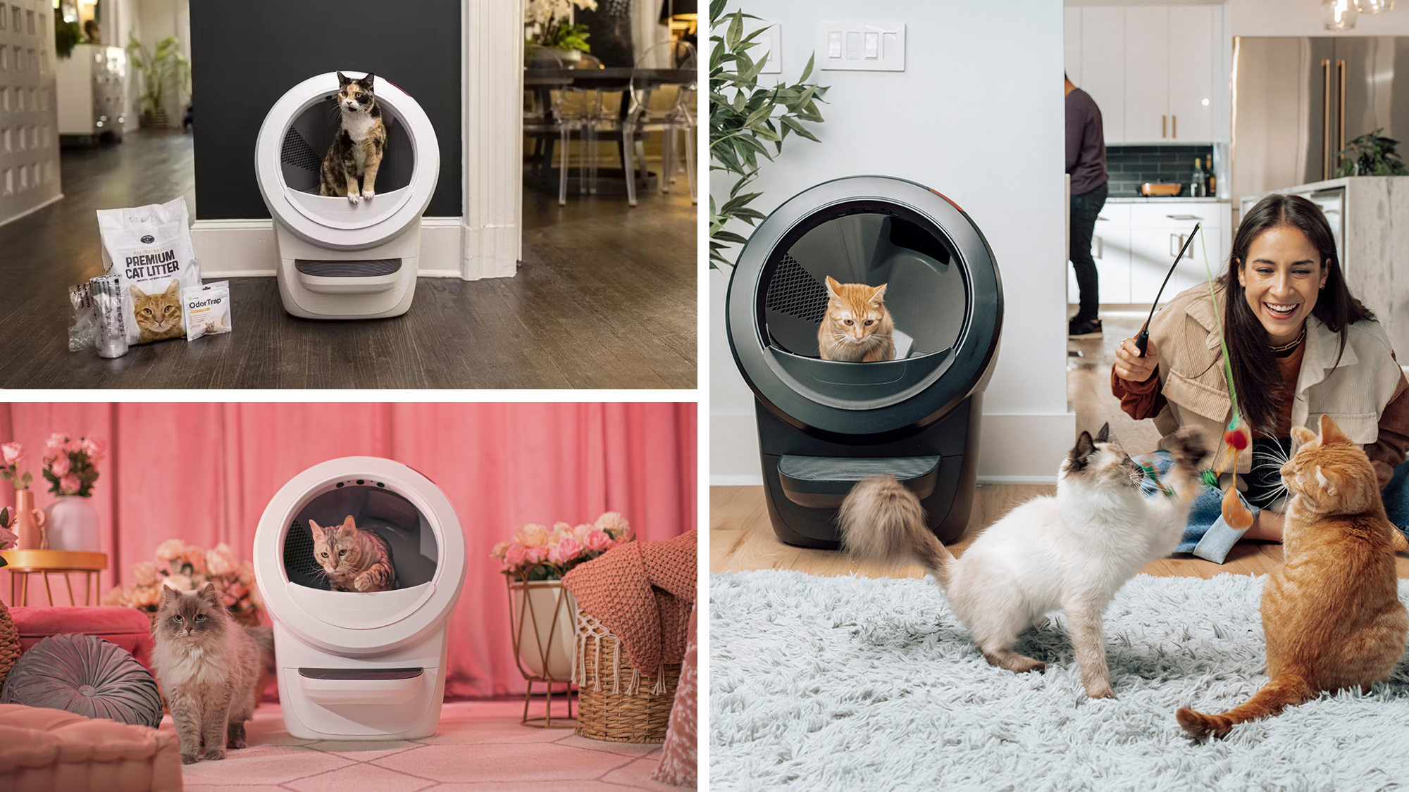 kedi, otomatik kedi tuvaleti, Litter-Robot, Litter-Robot 4, Anneler Günü, 2025, kedi annesi, hediye, indirim, tasarruf, kolaylık, kedi bakımı, kedi kumu, kedi aksesuarları, evcil hayvan, evcil hayvan bakımı, koku kontrolü, temizlik, teknoloji, LitterHopper, GreatLitter, çöp torbası, karbon filtre, OdorTrap, temizleme mendilleri, LitterTrap mat, otomatik temizleme, kedi sağlığı, kedi hijyeni, kedi dostu, kedi mutluluğu, robotik kedi tuvaleti, akıllı kedi tuvaleti, Mothers Day hediyesi, kedi annesi hediyesi, kedi sevenler, kedi severler için hediye, kediler için hediye, anneler günü indirimi, litter robot kampanyası

