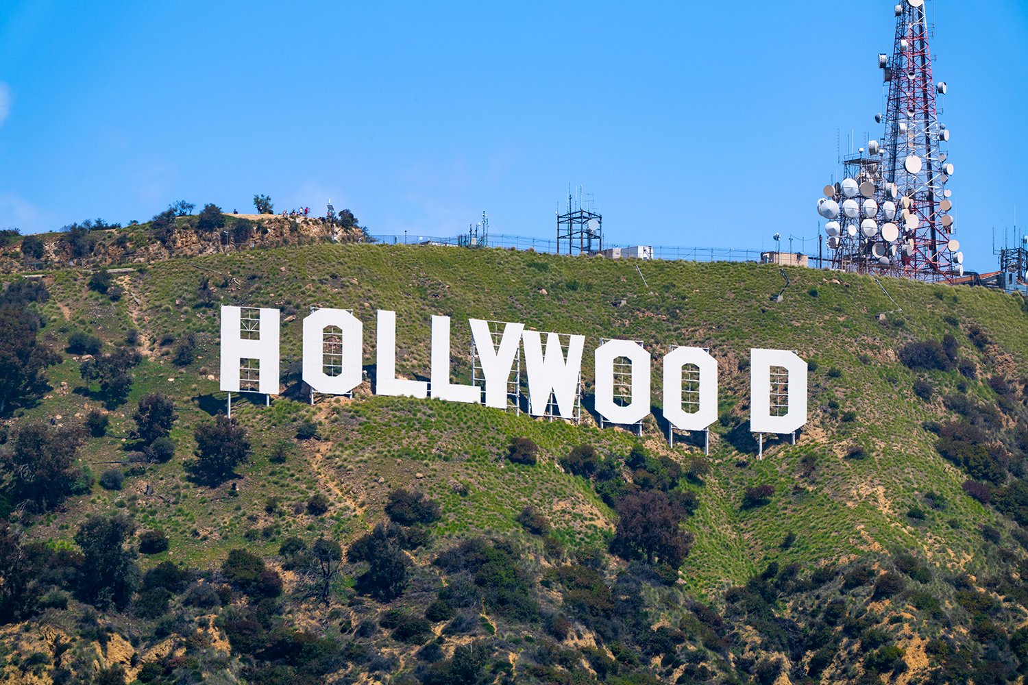 Google, Range Media Partners, 100 Zeros, film prodüksiyonu, AI, yapay zeka, kamuoyu algısı, teknoloji, Hollywood, pazarlama, Immersive View, spatial araçlar, CAA, dava, medya, eğlence, gençlik, film, dizi, belgesel, Hunter Schaefer, Cuckoo, AI on Film, Mira Lane, Peter Micelli, Jack Whigham, Bradley Cooper, Ilona Maher, uzun metrajlı film, California yasası, Writers Guild of America
