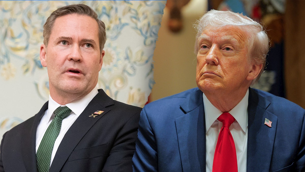 Mike Waltz, Alex Wong, National Security Council, Donald Trump, Yemen, Houthi rebels, Signal chat leak, Jeffrey Goldberg, The Atlantic, Pete Hegseth, John Ratcliffe, Karoline Leavitt, Hakeem Jeffries, firings, national security, White House, Pentagon, classified information, strikes against Yemen, tiger team, Houthis coordination.
