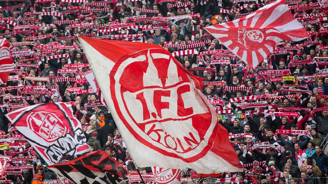 1. FC Köln, üyelik, rekor, Bundesliga, futbol, kulüp, taraftar, Werner Wolf, Gerhard Struber, Jahn Regensburg, Wiederaufstieg, Köln, Almanya, spor
