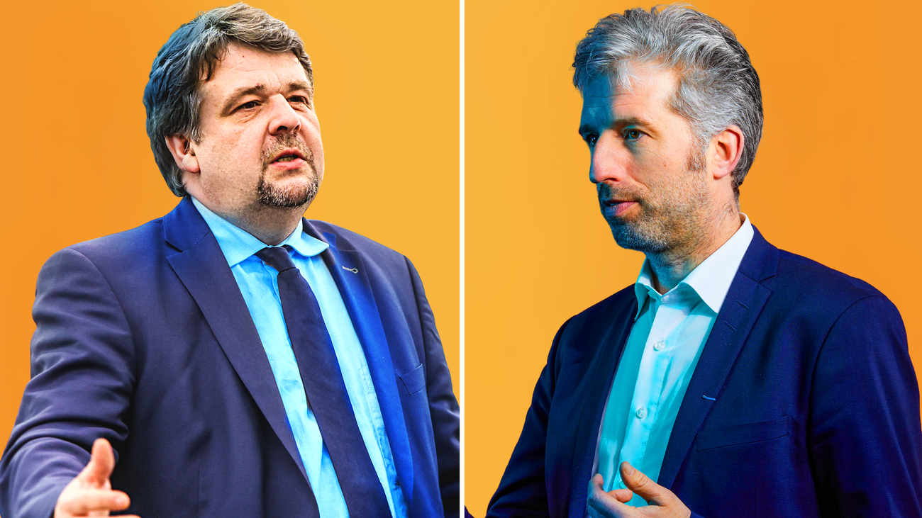 Boris Palmer, Dennis Radtke, AfD, DIE ZEIT, Jens Spahn, Almanya, politika, aşırı sağ, Anayasa Koruma Örgütü, siyasi partiler, yasaklama, dışlama, Avrupa Parlamentosu, Tübingen, belediye başkanı, CDU, Hristiyan Demokrat Birlik, Federal Meclis, meclis grubu başkanı, Anayasa, temel kanun, mağduriyet, siyaset
