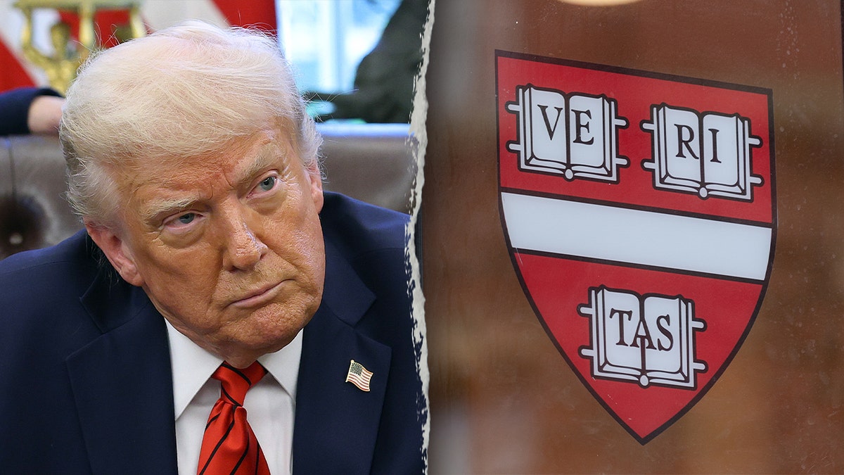Harvard, antisemitizm, İslamofobi, Alan Garber, Eugene Litvak, Fox News, T.H. Chan Halk Sağlığı Okulu, Donald Trump, vergi muafiyeti, Medicare, Medicaid, sağlık hizmetleri, hükümet harcamaları, verimlilik, araştırma hibeleri, Preston Mizell
