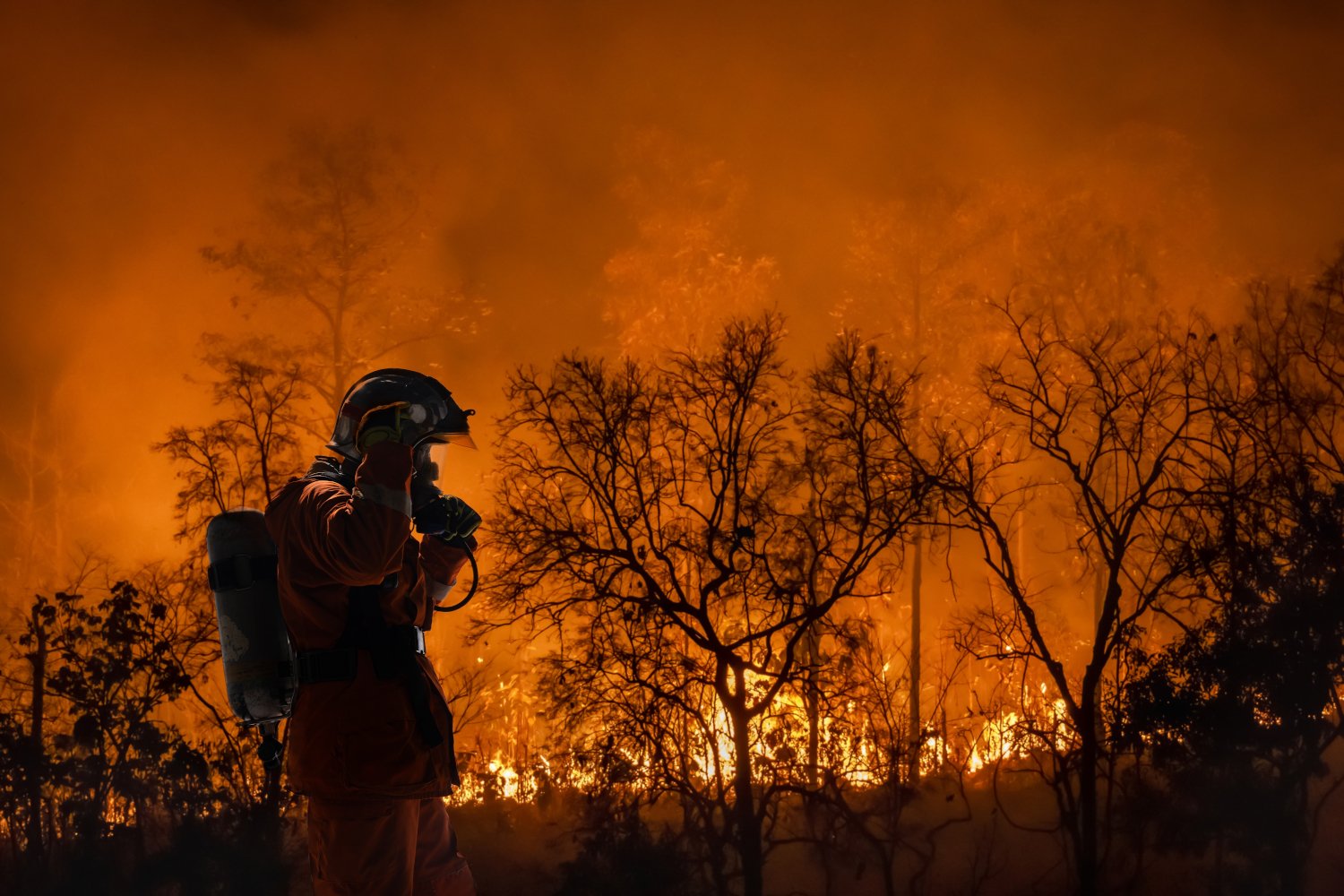 İklim değişikliği, Bilimsel araştırma, Donald Trump, ABD, Bilimsel fonlama, Çevre politikası, İklim bilimi, NASA, NOAA, IPCC, Bilimsel liderlik, Üniversiteler, Araştırma kesintileri, Küresel ısınma, Çevre koruma, Bilim insanları, Akademik ittifak, Grist, Çevre haberleri, İklim çözümleri, Just future, Çin, Almanya, Fransa, İş başvuruları, Beyin göçü, Gelecek nesil, Eğitim, Bilimsel mükemmellik, Küresel işbirliği, Bütçe kesintileri, Sürdürülebilirlik, İklim riski, Sera gazı emisyonları, Deniz seviyesi yükselmesi, Hava durumu tahminleri, Tarım tahminleri, Afet yönetimi, Bilimsel raporlar, İklim kaygısı, Siyasi piyon, Uluslararası öğrenciler, Yüksek öğrenim, Kariyer, Devlet desteği, Bilimsel kuruluşlar, Makale, Haber
