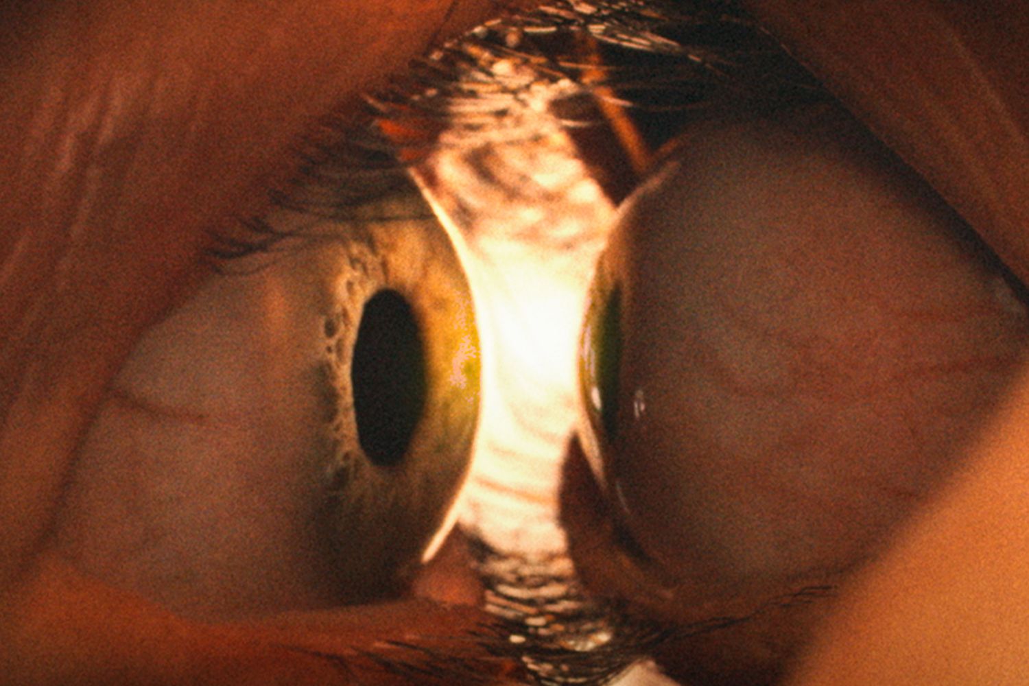 Meta anahtar kelimeler: Together, Dave Franco, Alison Brie, Michael Shanks, Neon, korku filmi, 2025, Sundance Film Festivali, fragman, özet, konu, sinema, CinemaCon, Temmuz 30, gerilim, doğaüstü, vücut korkusu, birleşme, Türk, eleştiri, inceleme.
