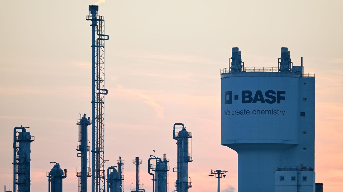 BASF, kimya şirketi, gelir düşüşü, kar düşüşü, ABD gümrük vergileri, Dirk Elvermann, mali sonuçlar, 2025 hedefleri, tarım çözümleri, kimyasallar, beslenme ve bakım, ciro, faiz amortisman ve vergi öncesi kar (FAVÖK), otomotiv sektörü, tüketim malları, piyasa belirsizliği, yerel pazarlar, Ludwigshafen, genel kurul
