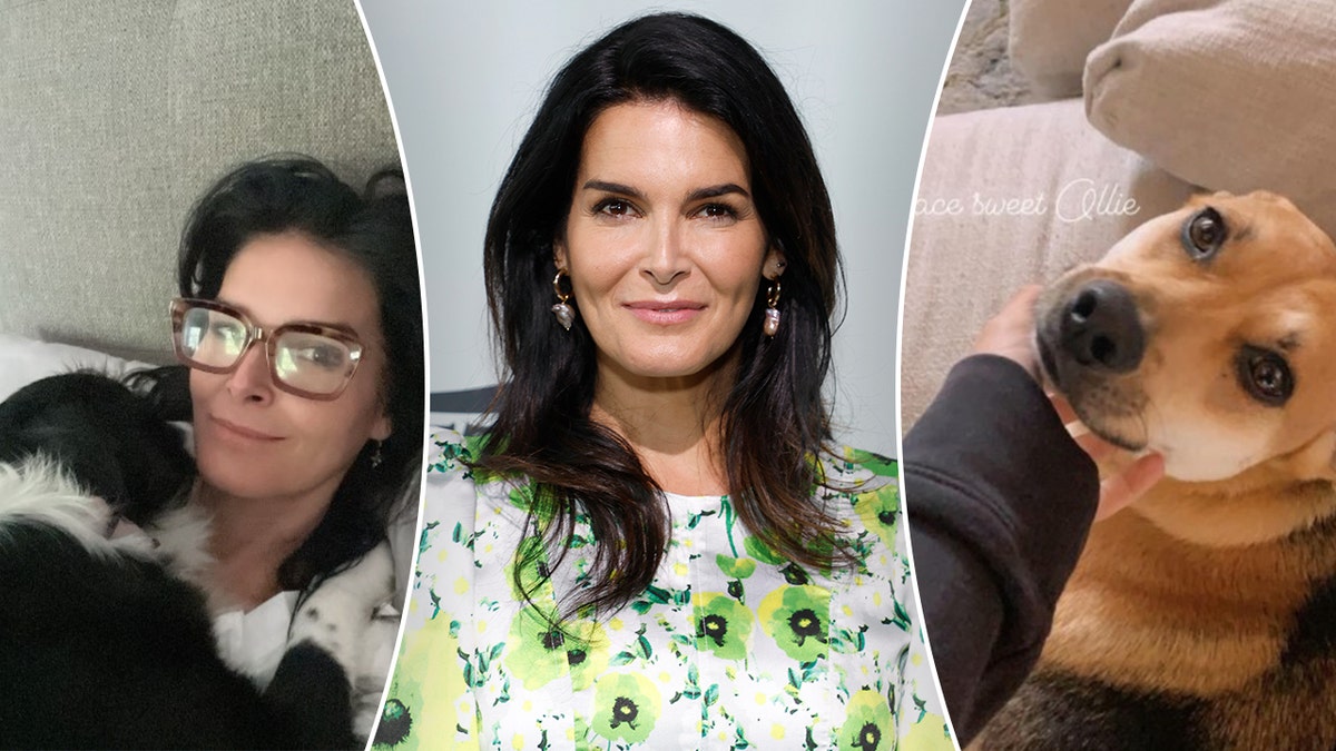 Angie Harmon, köpek, Instacart, teslimat sürücüsü, Oliver, Lucy, Rizzoli & Isles, ölüm, silahlı saldırı, dava, duygusal destek, evcil hayvan, Mothers Day, aile, travma, Charlotte-Mecklenburg Polis Departmanı.
