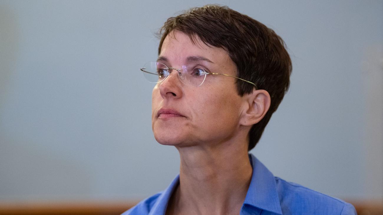 Frauke Petry, AfD, Team Freiheit, yeni parti, anti-etatizm, özgürlük, devlet müdahalesi, Batı ittifakı, siyasi boşluk, seçimler, Baden-Württemberg, parti kurucusu, sağcı akım, Björn Höcke, siyasi kariyer, parlamento, bağımsız milletvekili, Mavi Parti, siyasi analiz
