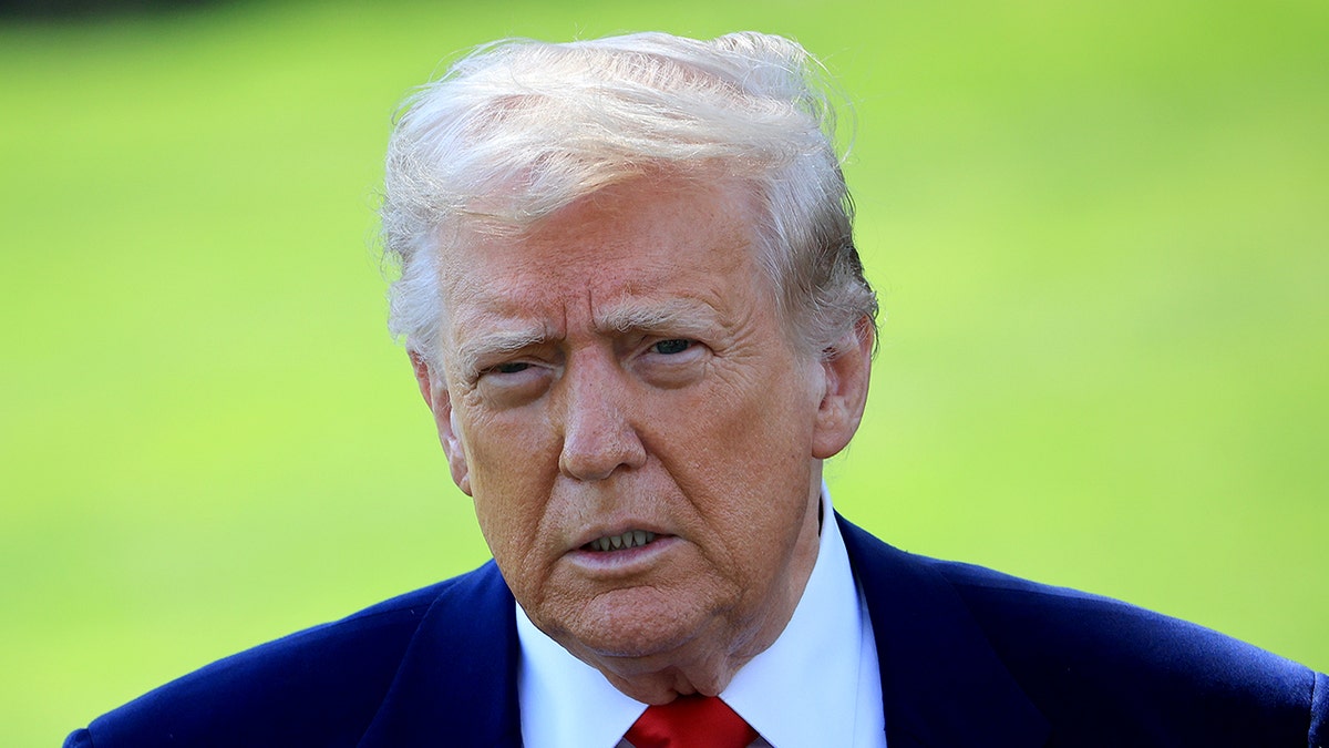 Donald Trump, impeachment, Shri Thanedar, Al Green, expulsion, Congress, Republicans, Democrats, Truth Social, obstruction of justice, violation of due process, breach of duty, usurpation, abuse of trade powers, international aggression, First Amendment, unlawful office, bribery, corruption, tyranny, Adam Schiff, pardon, meta keywords.
