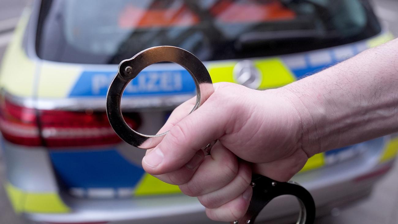 Hildesheim, köpek, tehdit, kundaklama, tutuklama, tehlikeli köpek, Landkreis Hildesheim, soruşturma, polis, suç, Almanya, haberler, yerel haberler, köpek el koyma
