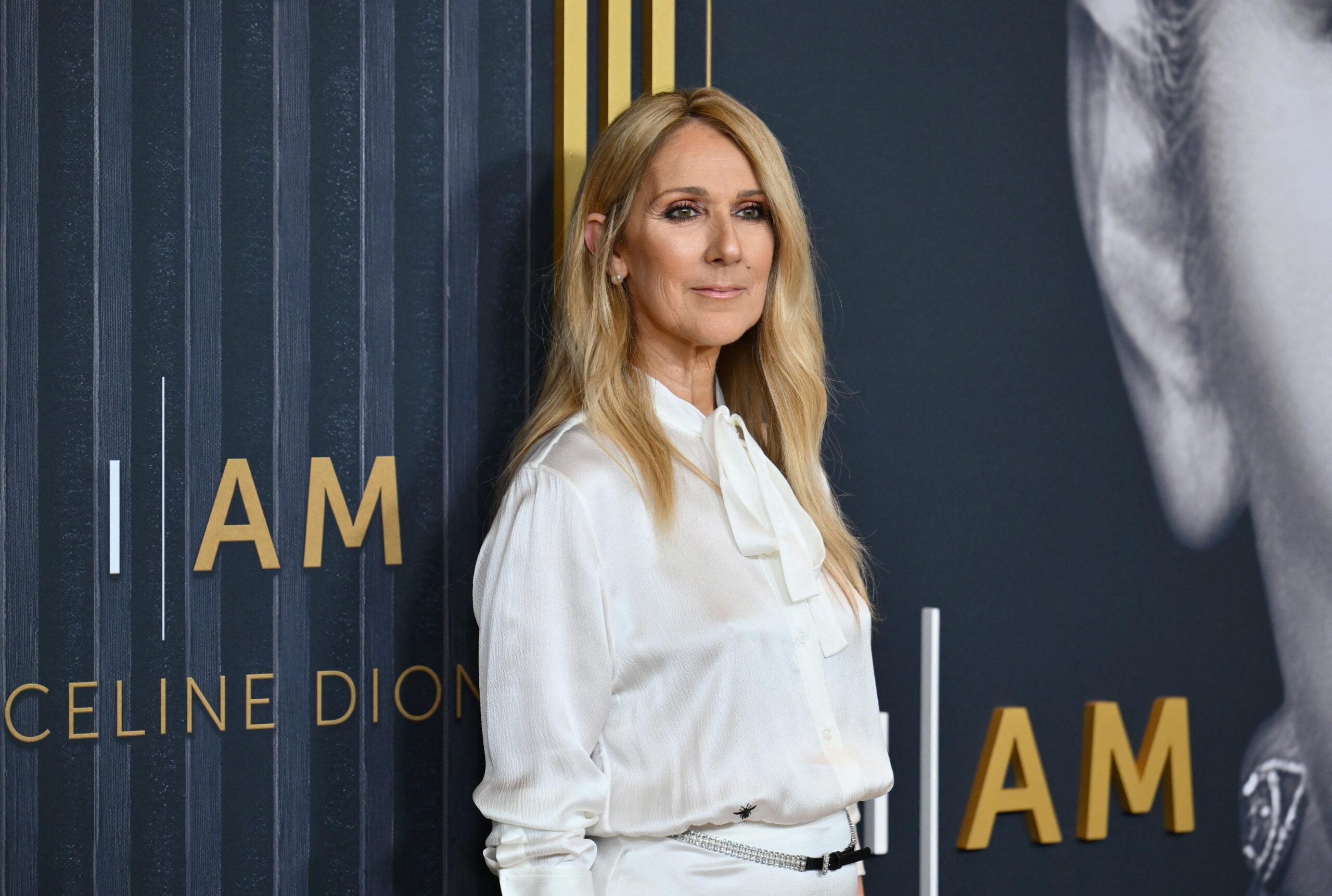 Céline Dion, Mylène Farmer, sinema, film, hastalık, nadir hastalık, katı insan sendromu, Love Again, Ocean's Thirteen, High in the Clouds, Paul McCartney, Gaumont, animasyon, 3D, Alain Chabat, seslendirme, Astérix, Netflix, Clémence Poésy, Idris Elba, Jimmy Fallon, Lionel Ritchie, Ringo Starr, Michael Giacchino, 88 Pictures, Bombay, Hindistan, film müziği
