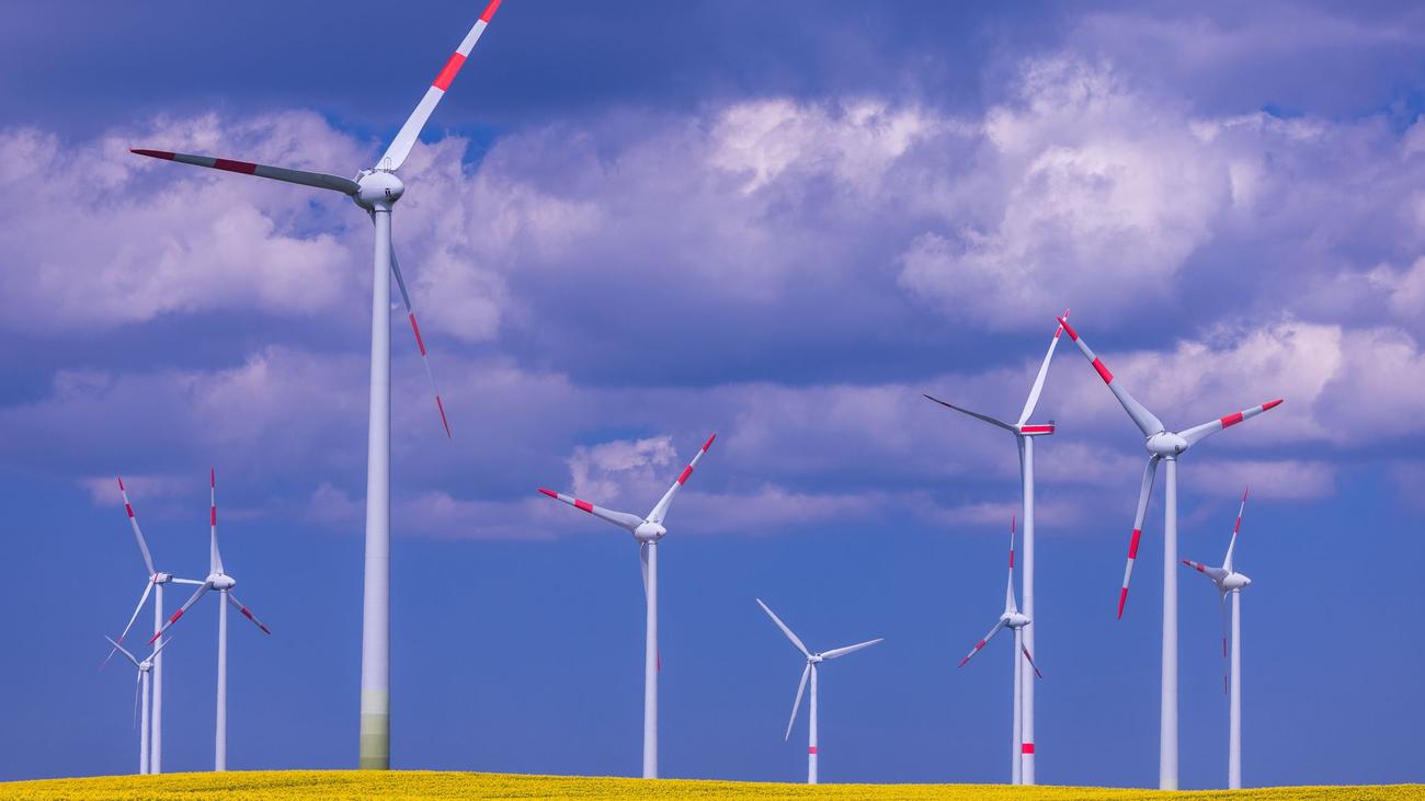 Mecklenburg-Vorpommern, rüzgar enerjisi, rüzgar parkları, yatırımcılar, izin süreçleri, Till Backhaus, SPD, çevresel etki değerlendirmesi, bekleme davaları, rüzgar türbinleri, arazi planlaması, Batı Mecklenburg, enerji dönüşümü, deniz üstü rüzgar parkları, Iberdrola, Wikinger, Baltic Eagle, Windanker, Gennaker projesi, Darß yarımadası, turizm, çevre dernekleri, yenilenebilir enerji, enerji politikası, rüzgar enerjisi ağı, VDMA Güç Sistemleri, Schleswig-Holstein.
