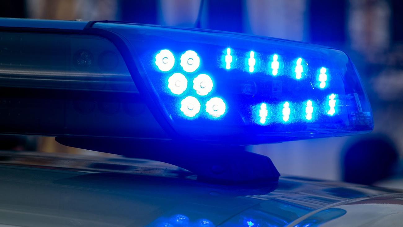 Büttelborn, A67, A5, ördek yavruları, kurtarma, otoban polisi, hayvan barınağı, trafik kazası, Hessen, Güney Hessen, ördek anne, terk edilmiş yavrular
