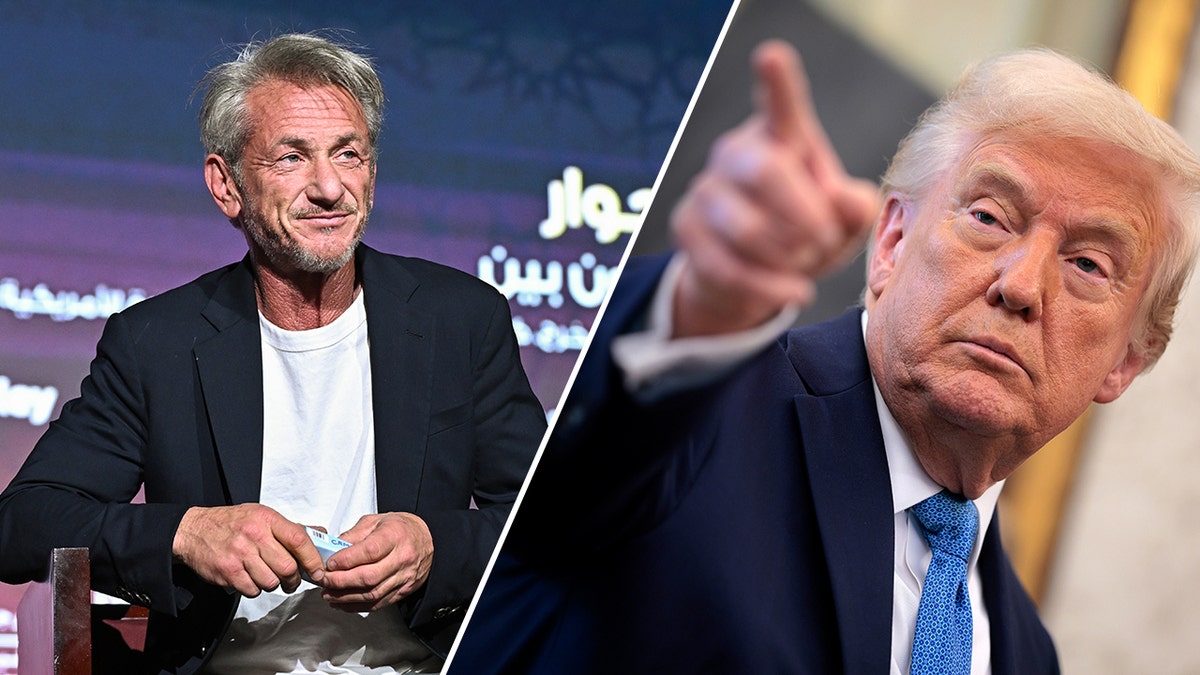 Sean Penn, Donald Trump, Jim Acosta, Eric Swalwell, The Jim Acosta Show, Politika, Dünya Sonu, Solipsizm, Medya, Kültür, Seçimler, ABD, Başkanlık, Yorum, Eleştiri, Açıklama, Tartışma
