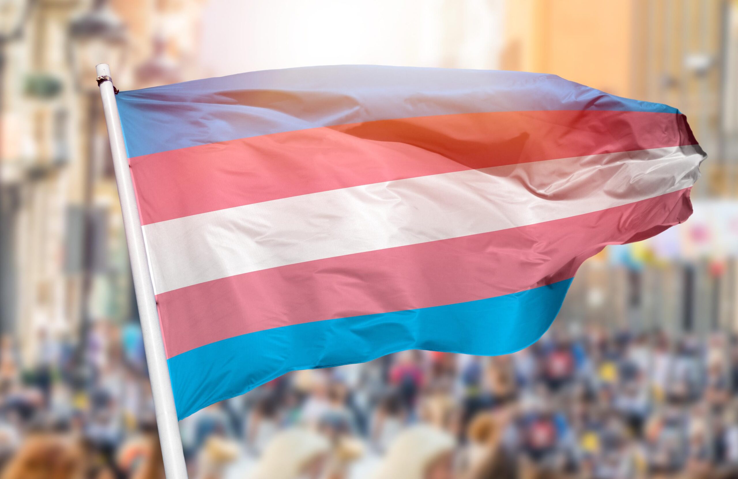 ABD Yüksek Mahkemesi, trans bireyler, ordu, Trump, Biden, askeriye, cinsiyet kimliği, ayrımcılık, LGBT, insan hakları, askerlik, Amerika, karar, yasa, politika
