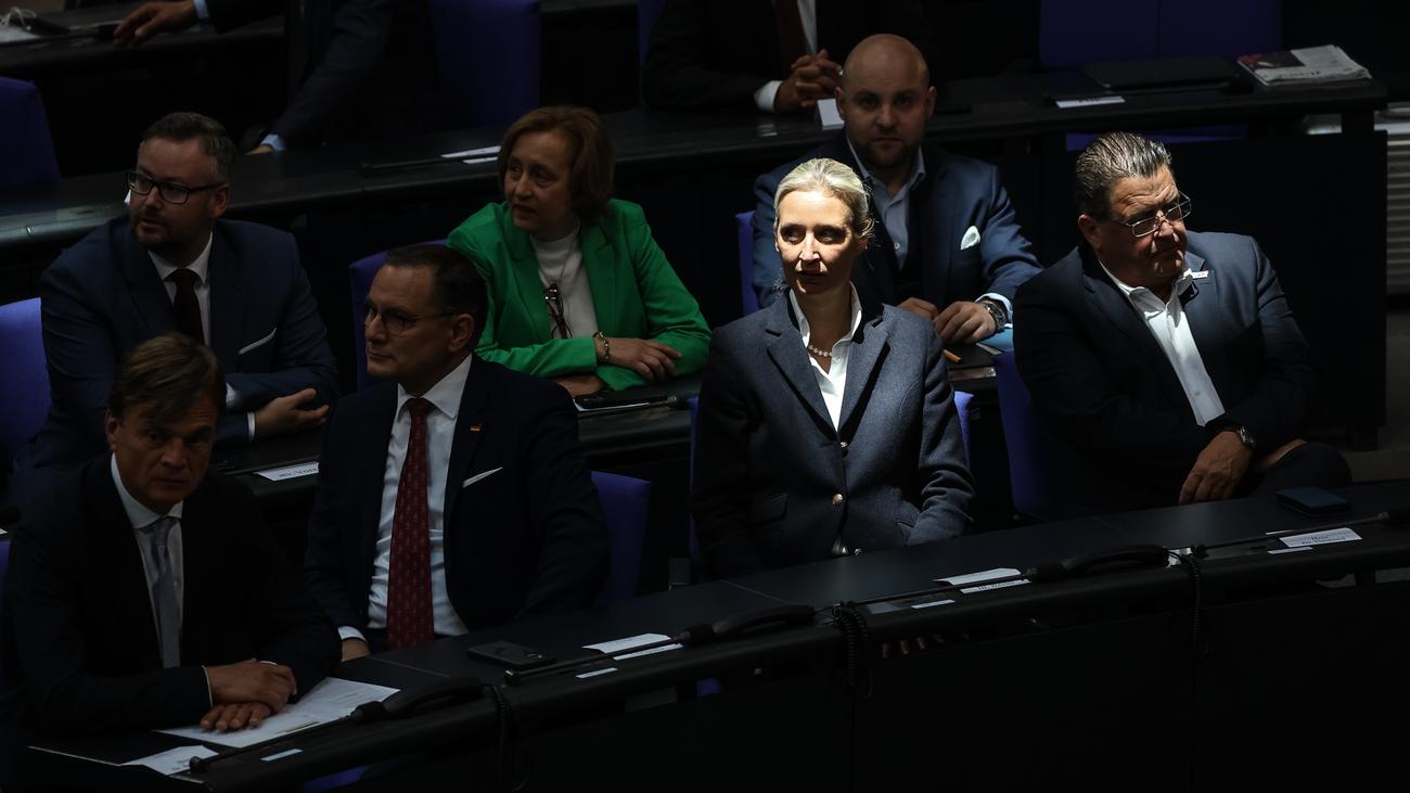 AfD, Friedrich Merz, Kanzlerwahl, Union, Rechtsextrem, Verfassungsschutz, Tino Chrupalla, Alice Weidel, Bundestag, Neuwahl, Koalition, Die Linke, Schadenfreude, Almaniya, Siyaset, Haberler, AfD Stratejileri, Merz'in Başarısızlığı
