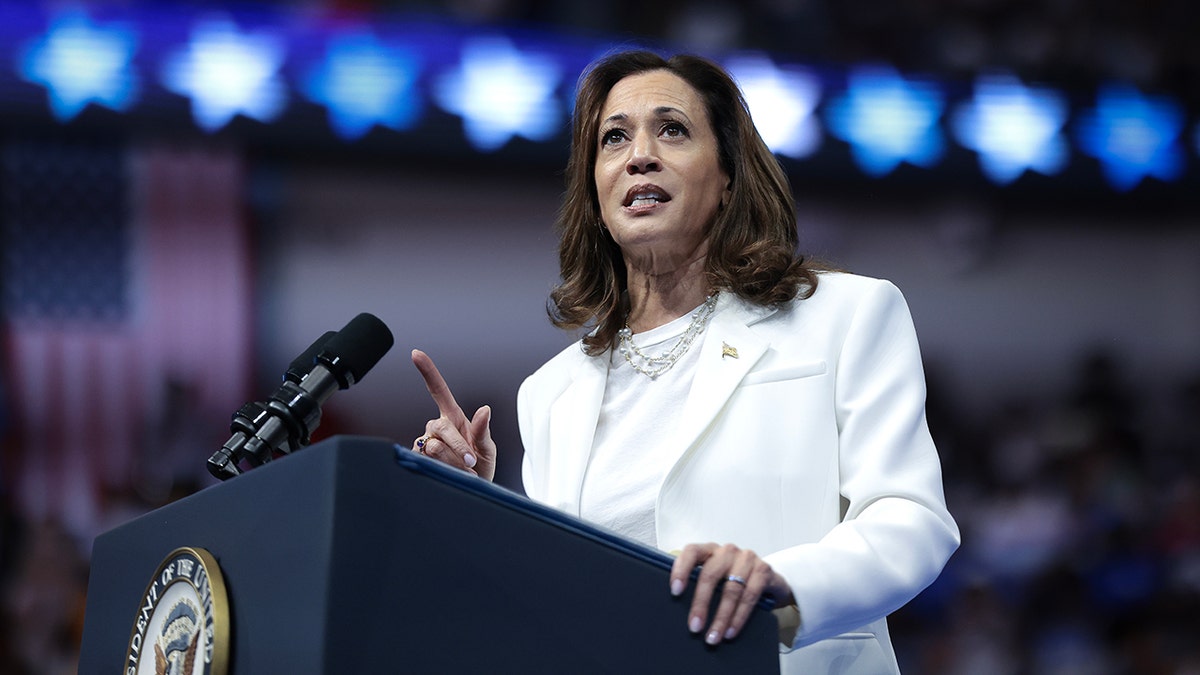 Kamala Harris, 2028 presidential election, Democratic Party, John Hickenlooper, Martin Heinrich, Richard Blumenthal, JB Pritzker, Gavin Newsom, potential candidates, political future, Democratic senators, Hillary Clinton.
