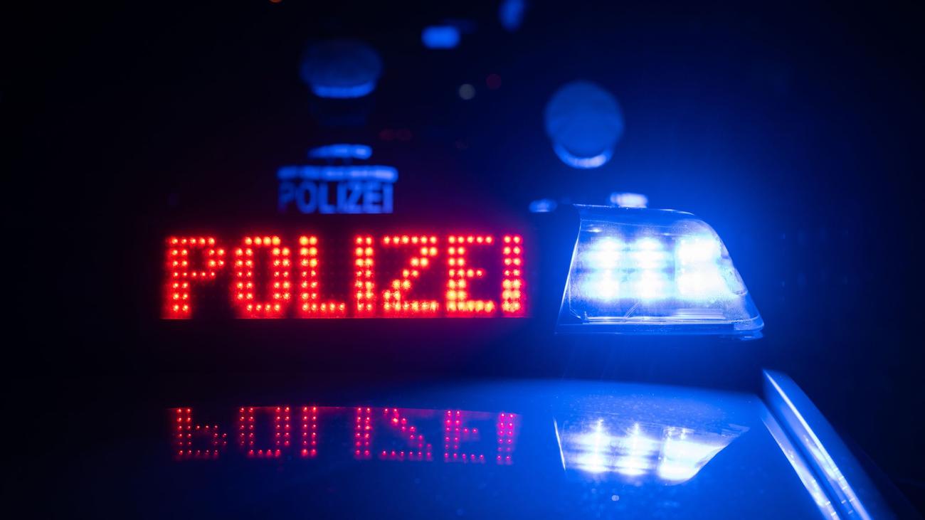 Öhringen, Hohenlohekreis, sığır, inek, kaçan hayvanlar, polis operasyonu, hayvanlar yolda, trafik, yol kapatma, çiftçi, elektrikli çit, hayvan kurtarma, kırsal yaşam, Almanya

