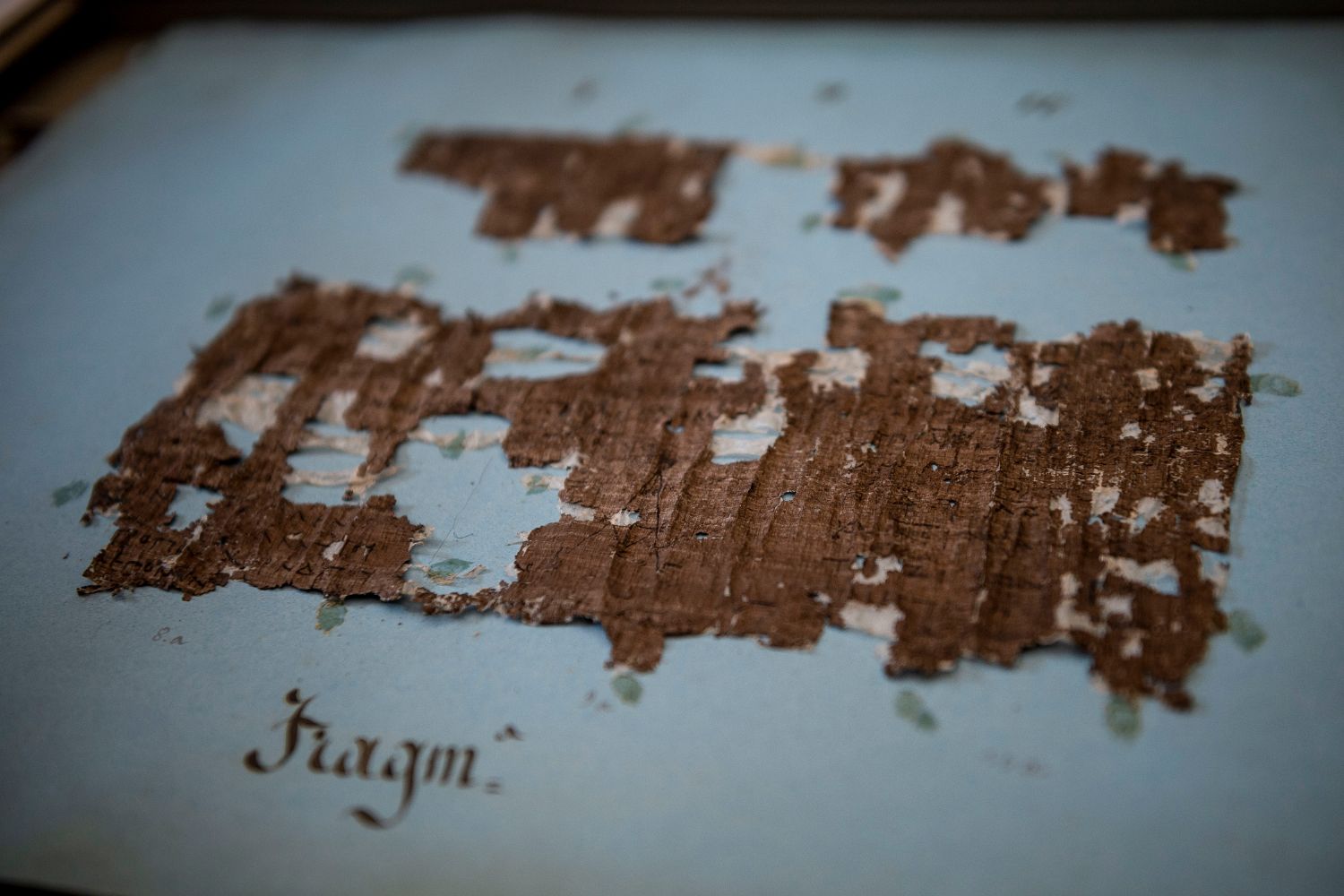 antik metinler, Herculaneum parşömenleri, Vesuvius Challenge, yapay zeka, makine öğrenimi, Philodemus, Erdemler Üzerine, Villa dei Papiri, X-ışını tomografisi, dijital açma, karbonlaşmış parşömenler, antik felsefe, Epicurus, metin deşifresi, tarihi araştırmalar
