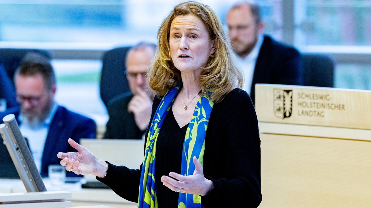 Hamburg, Landesregierung, Haushalt, Notkredit, Urteil, Schuldenbremse, Finanzministerin, Northvolt, Batteriefabrik, Schulden, Silke Schneider, Grüne, Verfassungswidrig, Tilgung, Konsolidierung, Bruttoinlandsprodukt
