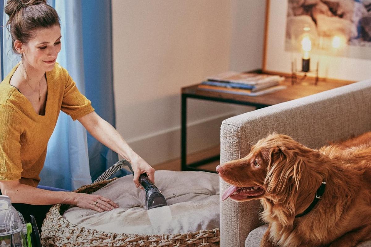 Bissell SpotClean Pet Pro, şampuan makinesi, halı temizleyici, kumaş temizleyici, mobilya temizleyici, evcil hayvan temizliği, Amazon, French Days, indirim, kampanya, temizlik, ev temizliği, araba temizliği, leke çıkarma, koku giderme, evcil hayvan kokusu giderme
