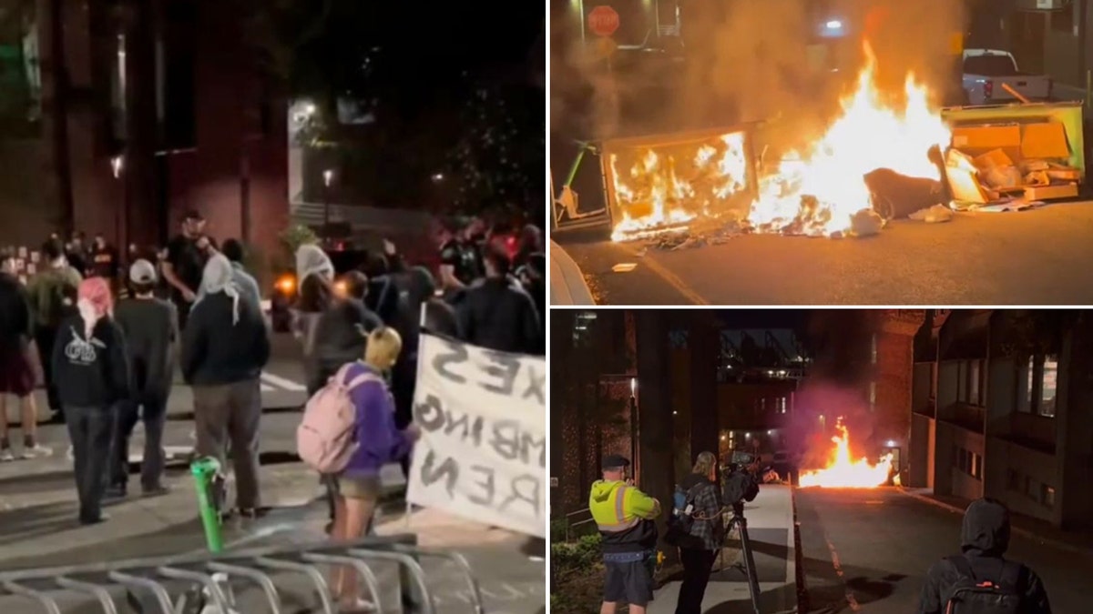 Anti-İsrail protestosu, Washington Üniversitesi, UW, Boeing, Boykot, Yatırım, Filistin, Gazze, öğrenci protestosu, sivil itaatsizlik, üniversite işgali, polis, tutuklama, Şiddet, vandalizm, Antisemitizm, Kampüs güvenliği, eğitim, Shaban Al-Dalou, Al-Aqsa Hastanesi, Hamas, askeri teçhizat
