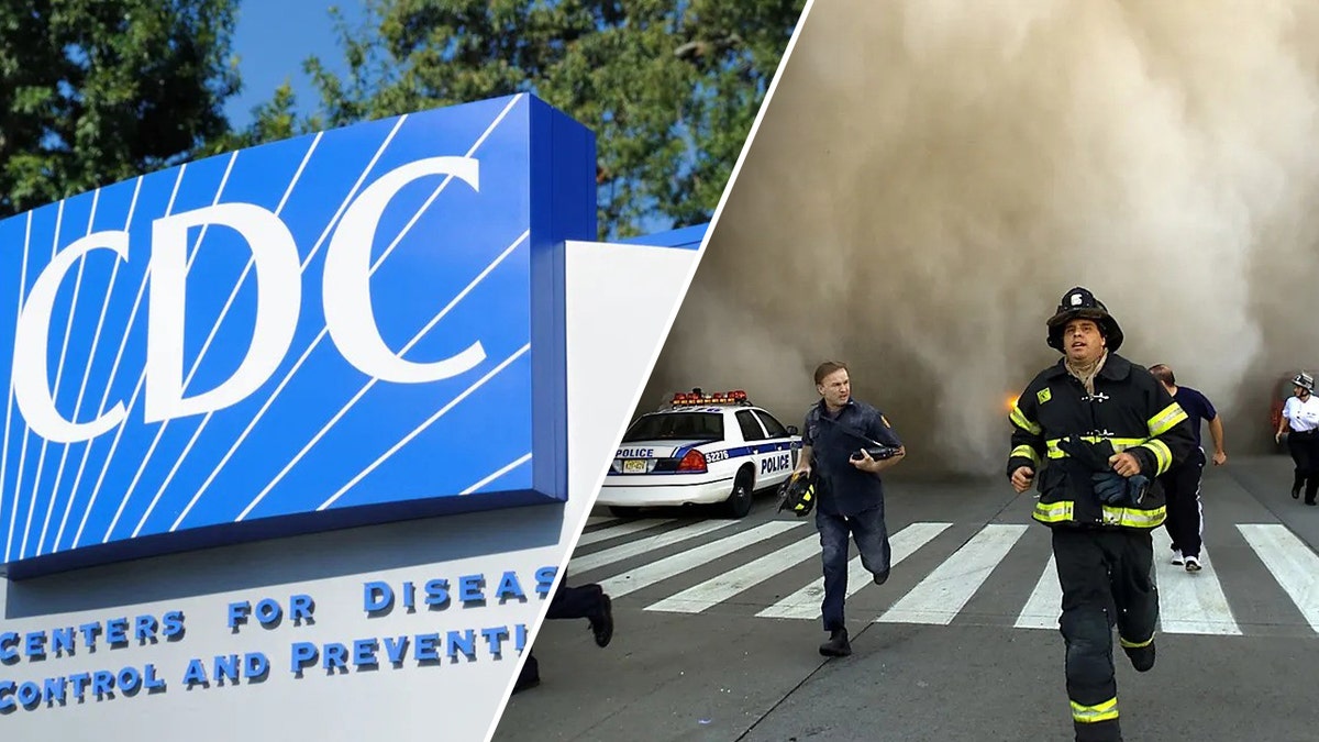 Based on the article provided, here are some meta keywords that could be used, separated by commas:

9/11, World Trade Center Health Program, WTCHP, CDC, Centers for Disease Control and Prevention, HHS, Health and Human Services, Trump Administration, job cuts, reinstatement, first responders, survivors, healthcare, James Zadroga 9/11 Health and Compensation Act, National Institute of Occupational Safety and Health, NIOSH, Mike Lawler, Chuck Schumer, Letitia James.
