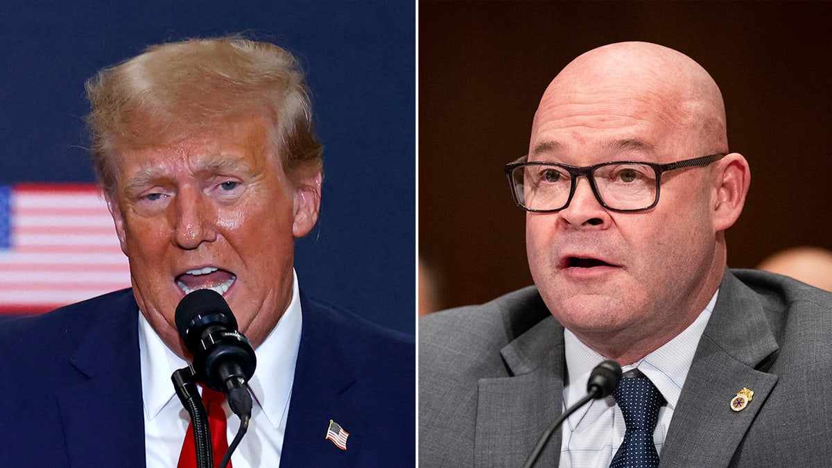 Trump, Teamsters, Film Endüstrisi, Tarife, Hollywood, İşler, Sendika, O'Brien, Dougherty, Hareketli Resim, Üretim, Dış Kaynak Kullanımı, Amerikan İşçileri, Ticaret, Demokratlar, Cumhuriyetçiler, Fox News

