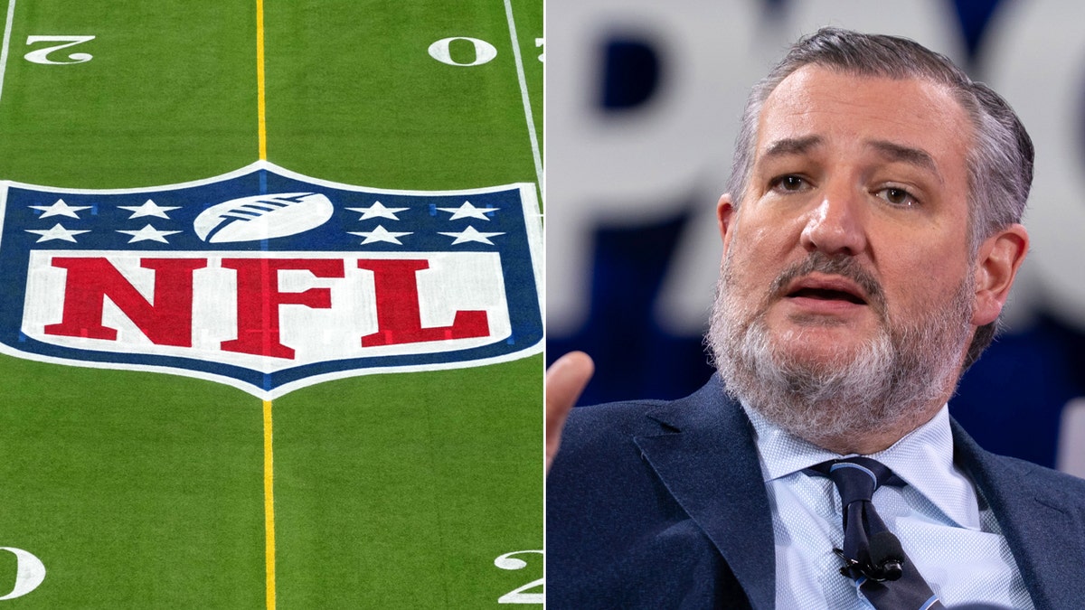 NFL, Ted Cruz, Sports Broadcasting Act, SBA, yayın hakları, Black Friday, lise futbolu, üniversite futbolu, antitröst, Roger Goodell, Senato Ticaret Komitesi, spor yayınları, akış hizmetleri, Fox News, Texas A&M, Amerikan futbolu
