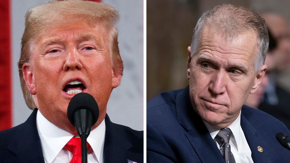 Başkan Donald Trump, Thom Tillis, Ed Martin, ABD Başsavcısı, Washington D.C., Senato Yargı Komitesi, onay süreci, geçici ABD Başsavcısı, James Boasberg, 6 Ocak, Capitol isyanı, affetme, Adalet Bakanlığı, Pam Bondi.

