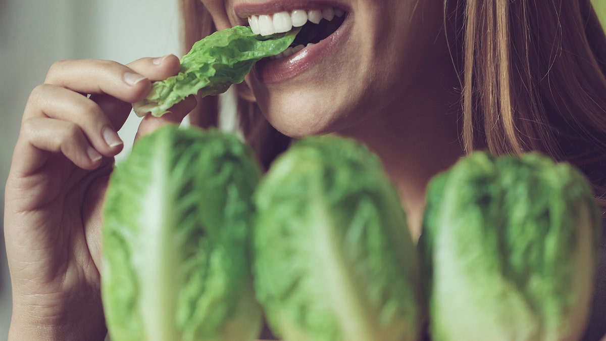dinosaur time, TikTok food trend, yeşil sebzeler, sağlıklı beslenme, diyet, beslenme uzmanı, Julie Stefanski, Caroline Susie, sebze tüketimi, vitaminler, lif, sindirim sağlığı, sosyal medya trendleri, diyet ipuçları, sağlık haberleri, fox news, beslenme tavsiyeleri
