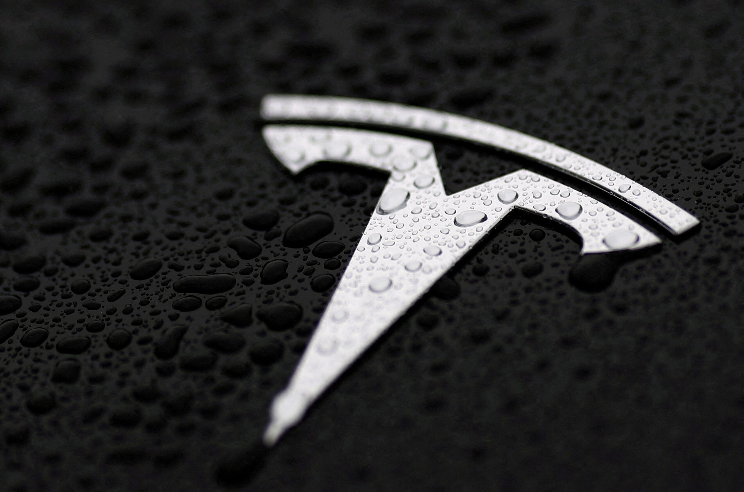 Tesla, Elon Musk, elektrikli araç, Model Y, otomobil satışı, protesto, boykot, Trump, İngiltere, Almanya, EV, federal vergi indirimi
