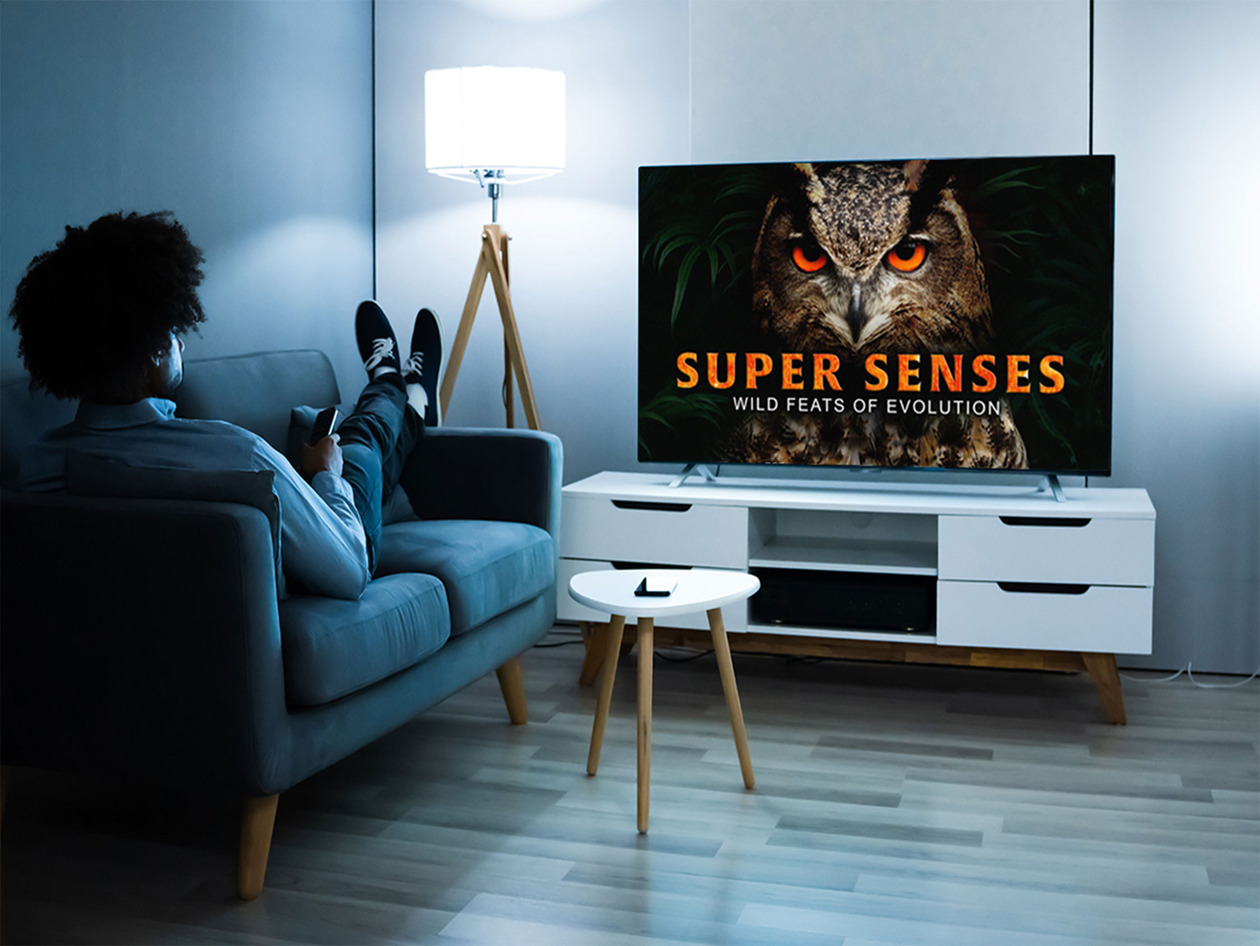 MagellanTV, belgesel yayın servisi, ömür boyu abonelik, indirimli fiyat, bilim, tarih, doğa, uzay, suç, reklamsız, yüksek kaliteli, streaming, online belgesel, MagellanTV inceleme, belgesel izleme platformu, akıllı TV, mobil uygulama, Roku, Fire TV, Apple TV, yayın hizmeti, StackSocial, indirim, özel teklif, belgesel önerileri, öğretici belgeseller
