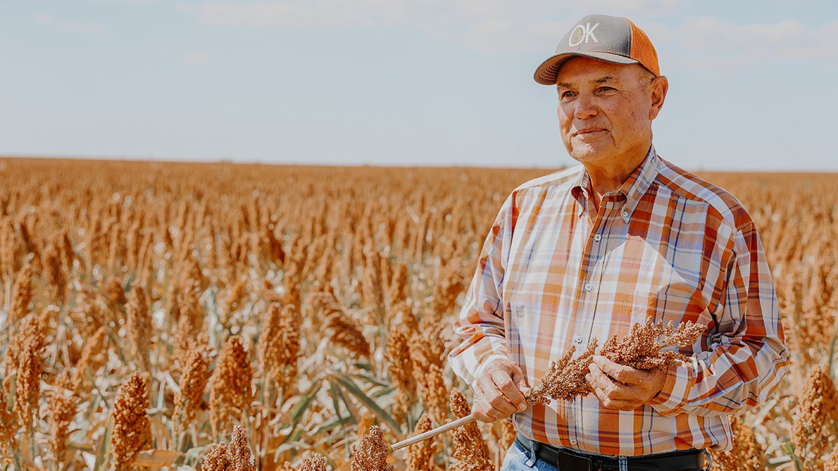 sorghum, sorgum, sağlıklı beslenme, sağlıklı gıda, glutensiz, glutensiz tahıl, Amerikan tarımı, Amerikan ürünü, yerli ürün, besin değeri, protein, lif, antioksidan, quinoa alternatifi, mısır alternatifi, kuraklığa dayanıklı, hayvancılık yemi, besin kaynağı, tarım, kansas sorgumu, sorgum unu, sorgum şurubu, sorgum çekirdeği, Cleveland Clinic, Fox News, Lanier Dabruzzi, Birleşik Sorgum Checkoff Programı, Güney Dakota, Texas, GDO'suz, genetiği değiştirilmemiş organizma, beslenme, sağlıklı yaşam tarzı, anksiyete, ruh hali, bağışıklık sistemi, çorba, pilav, tahıl kaseleri, çölyak, gluten intoleransı, mısır patlağı, dondurma, yeniden ısıtma, Amerikan tarımını destekleme, sağlığı destekleme, kışın tüketilebilecek besinler, besleyici tahıllar, ucuz tahıllar, doyurucu tahıllar, sağlıklı yaşam, sağlıklı tarifler, diyet, diyet tarifleri, tahıl, taneli yiyecekler, süper gıda, functional food, yüksek proteinli gıda, bitkisel protein, hayvansal protein, ucuz beslenme, kinoa, pirinç, buğday alternatifi, Amerikan buğdayı, amerikan yerli mahsülü, amerikan yerli tarımı, tarımsal ürünler, Amerikan tahılları, sürdürülebilir tarım, susuz tarım, sorgum ekmeği, sorgum tatlıları, sorgum birası, alkol, gluten free bira