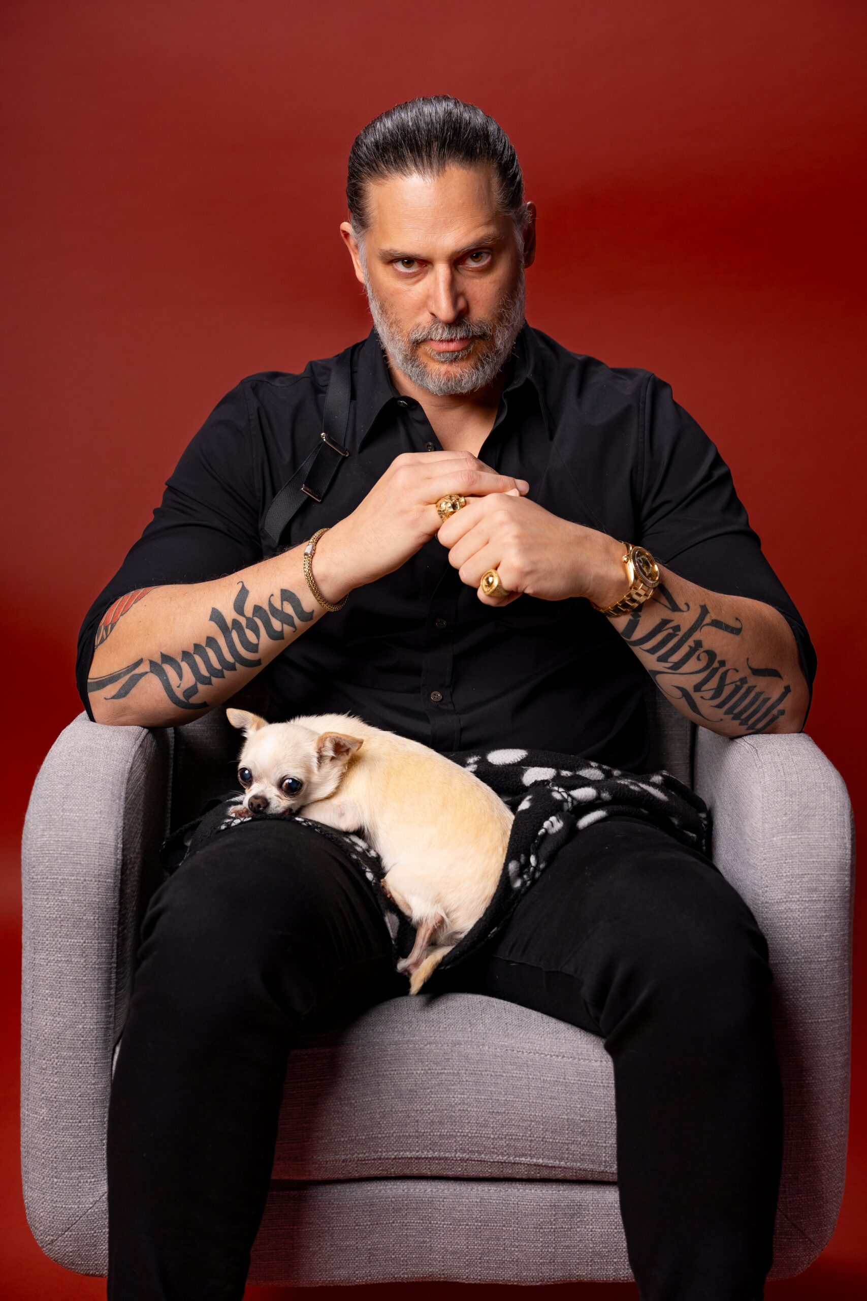 Joe Manganiello, Nonnas, Hoboken, New Jersey, Enoteca Maria, Vince Vaughn, Lorraine Bracco, Susan Sarandon, Brenda Vaccaro, Talia Shire, Netflix, Caitlin O'Connor, Bubbles, chihuahua, Dogs Without Borders, Sofia Vergara, Armenian genocide, Armenian Assembly of America
