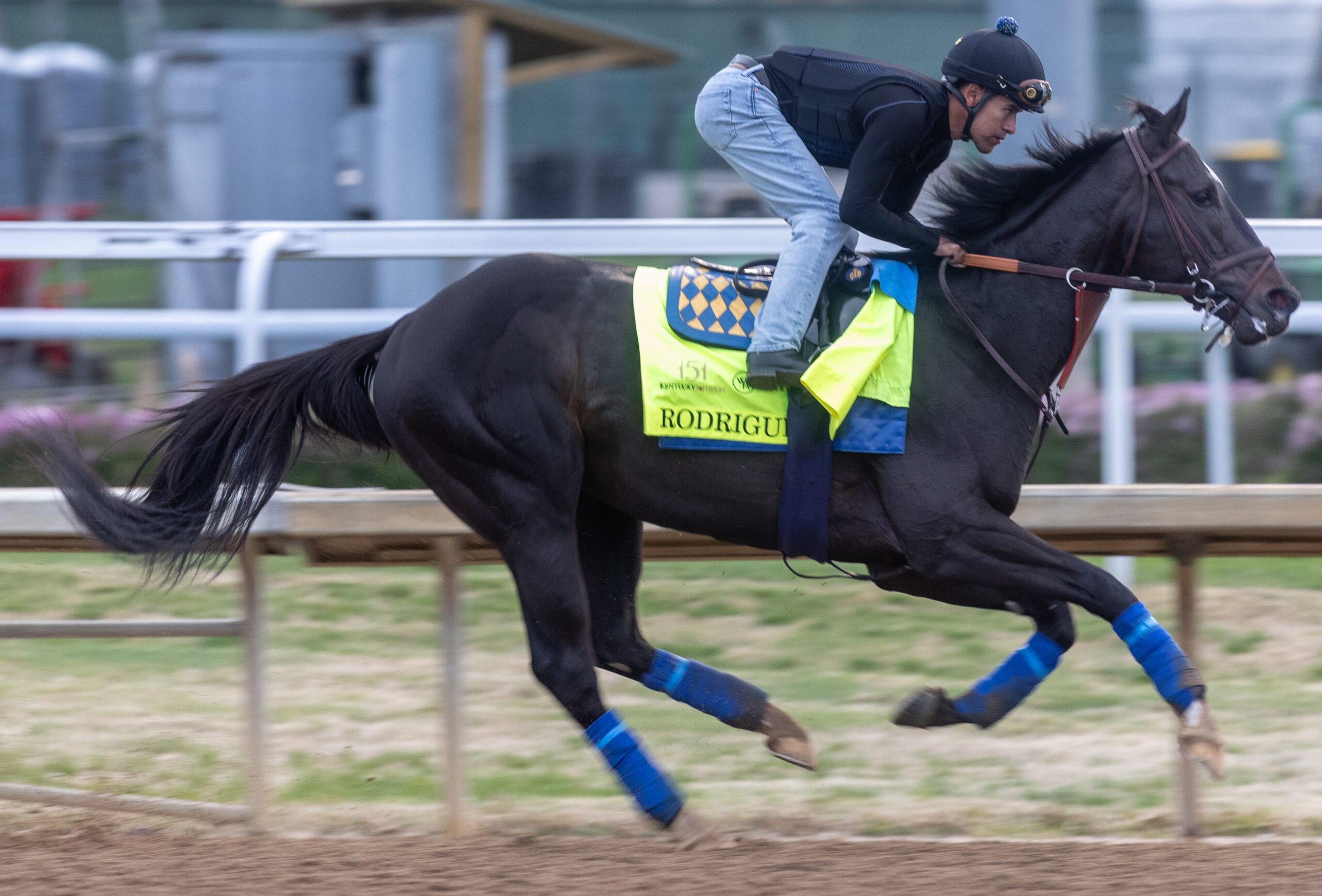 2025 Preakness Stakes, Triple Crown, at yarışı, Bob Baffert, Rodriguez, Goal Oriented, Bill Mott, Sovereignty, Kentucky Derby, Belmont Stakes, Saratoga Race Course, American Promise, D. Wayne Lukas, Pimlico Race Course, at yarışı canlı yayın, Peacock, NBCSports.com, NBC Sports, Fubo
