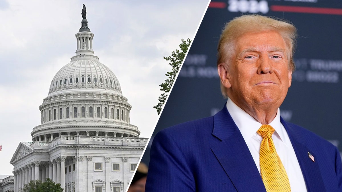 Trump tax plan, Republican tax debate, tax cuts, ultra-wealthy tax, GOP civil war, Capitol Hill, tax increases, middle class tax breaks, working class, Donald Trump, House Freedom Caucus, Andy Harris, TCJA, pre-2017 Tax Cuts and Jobs Act, million dollar income, social security, top income tax bracket, George H.W. Bush, Ross Perot, Rep. Eric Burlison, spending problem, downsizing government, Rep. David Kustoff, Rep. Tim Moore, Americans For Tax Reform, Rep. Marlin Stutzman, debt reduction, budget reconciliation, border security, immigration, energy, national defense, debt ceiling, Rep. Darrell Issa, The Heritage Foundation, Americans For Prosperity (AFP), Brent Gardner, House Ways & Means Committee, Memorial Day, Fourth of July, economic growth, tax policy