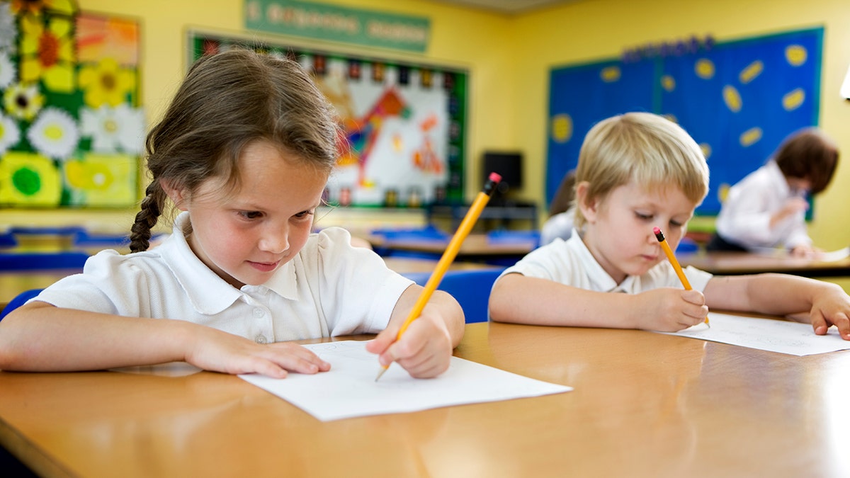 left-handedness, neurological disorders, autism, schizophrenia, mixed-handedness, ambidexterity, dyslexia, ADHD, depression, dyscalculia, stuttering, brain dominance, language, neurodevelopment, thumb-sucking, stroke, multiple sclerosis, traumatic brain injury, handedness, mental health, correlation, causation
