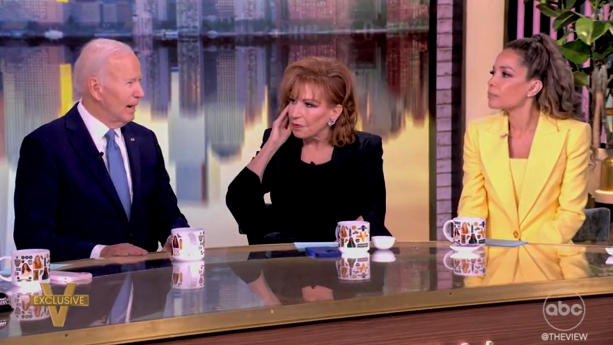 Joe Biden, Kamala Harris, The View, seçimler, görev süresi, başkanlık, siyaset, ABD, yorum, eleştiri, ekonomi, mevzuat, Trump

