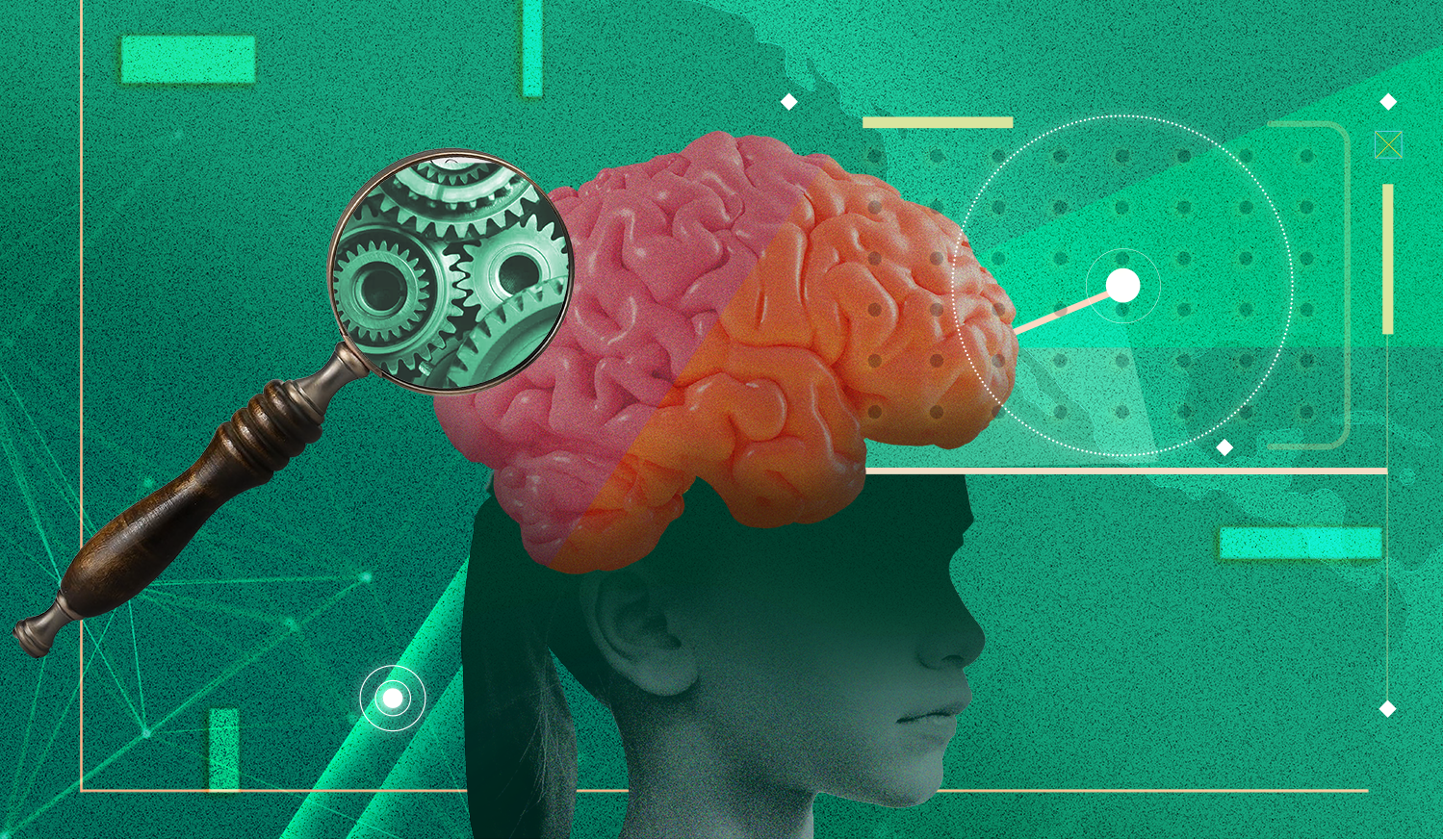 ADHD, DEHB, Dikkat Eksikliği Hiperaktivite Bozukluğu, yaygınlık, teşhis, çocuklar, yetişkinler, genetik, çevresel faktörler, kültürel algılar, Amerika Birleşik Devletleri, küresel, artış, oranlar, nedenler, tedavi, belirtiler, psikologlar, psikiyatristler, araştırma, tarih
