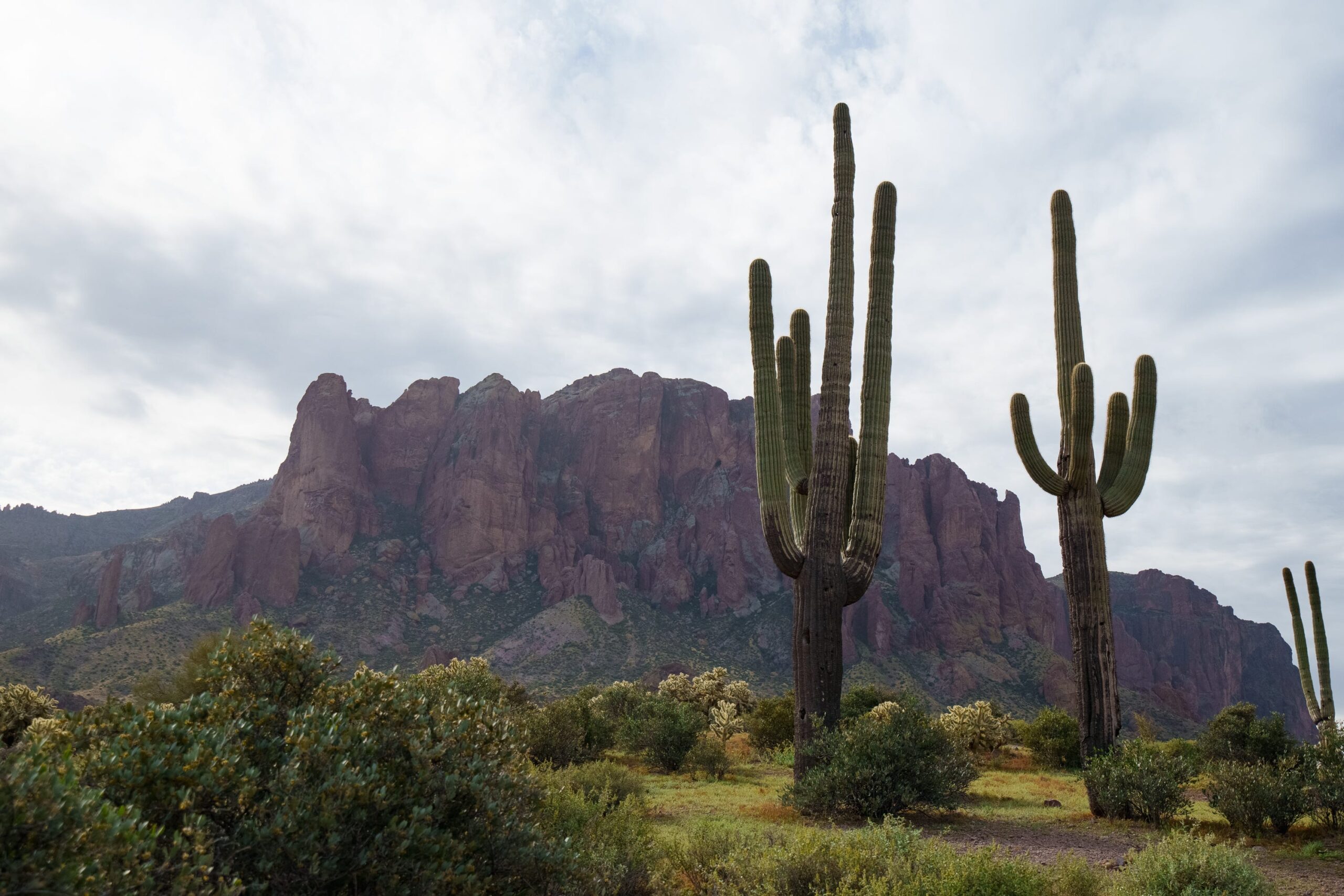 Arizona, Superstition Dağları, Wave Cave Trail, ısı çarpması, sıcak hava, yürüyüş, ölüm, kurtarma, Superstition İtfaiye ve Tıp Bölgesi, Pinal County Şerif Ofisi, Mesa İtfaiye Departmanı, sıcaklık, ilk yardım, acil durum, yürüyüş güvenliği, yaz, hava durumu, risk, önlemler, sağlık, Melina Khan, USA TODAY
