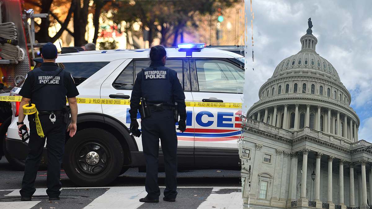 Kongre çalışanı, Sara Jacobs, silahlı araba gaspı, Washington D.C., suç, Donanma Tersanesi, Metropolitan Polis Departmanı, tutuklamalar, reşit olmayan, tabanca, Capitol, park kartı, Sean Duffy, Ulaşım Bakanlığı, WMATA, toplu taşıma güvenliği, bıçaklama, Donald Trump, Make America Great Again, kampanya, suçsuz başkent, Fox News Digital
