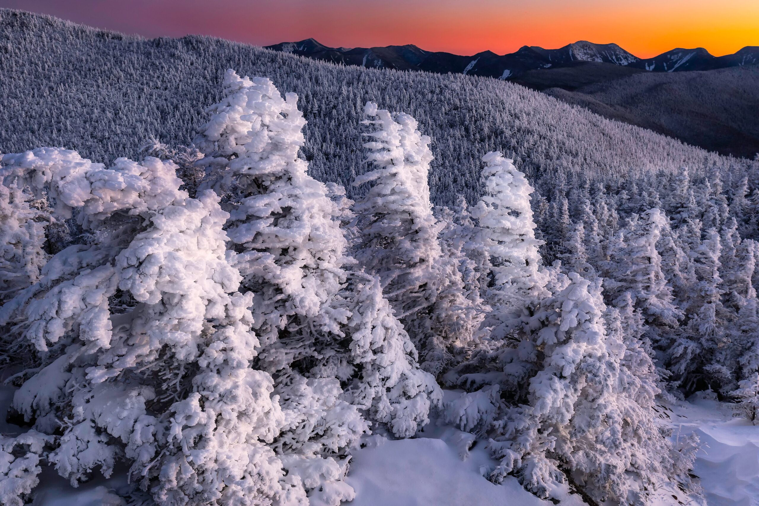 kayıp dağcı, Adirondack Dağları, Leo DuFour, New York, arama kurtarma, Allen Dağı, Mount Adams, dağcılık kazası, Kanada, Vaudreuil, kayıp kişi, vefat, ölüm, dağcılık, doğa yürüyüşü, enkaz, yetkililer, orman korucuları, New York Eyalet Polisi, arama çalışmaları, helikopter, Adirondack Explorer, yüksek zirveler, dağ yolu, zorlu parkur, kış dağcılığı
