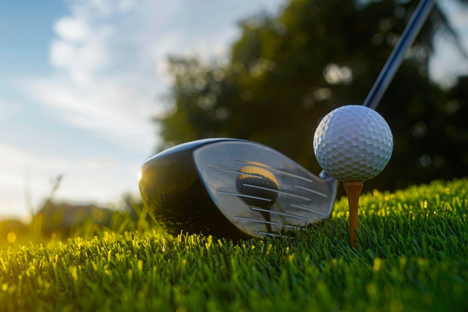Parkinson hastalığı, golf sahaları, pestisitler, nörodejeneratif hastalık, çevre faktörleri, Mayo Clinic, Rochester Epidemiology Project, risk faktörleri, sinir sistemi hastalıkları, sağlık araştırması, pestisit maruziyeti, toksinler, halk sağlığı, Minnesota, Wisconsin, su kaynakları, Michael S. Okun, Svjetlana Miocinovic, önleme, çevresel faktörler, nöroloji
