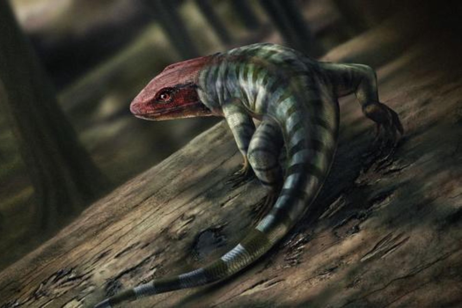 tetrapodlar, dört ayaklılar, evrim, fosiller, ayak izleri, amniyotlar, sürüngenler, kuşlar, memeliler, Devonian dönemi, Karbonifer dönemi, Tiktaalik, Gondwana, paleontoloji, bilim, keşif, Ahlberg, Niedźwiedzki, Uppsala Üniversitesi

